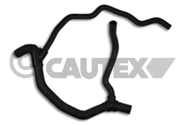 026522 Cautex