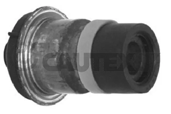 021334 Cautex
