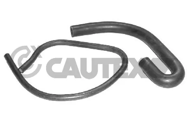 021139 Cautex