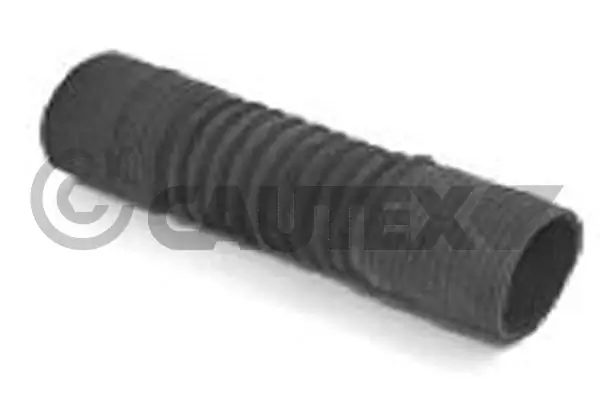 026848 Cautex
