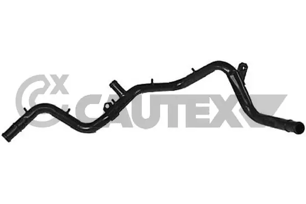 955108 Cautex
