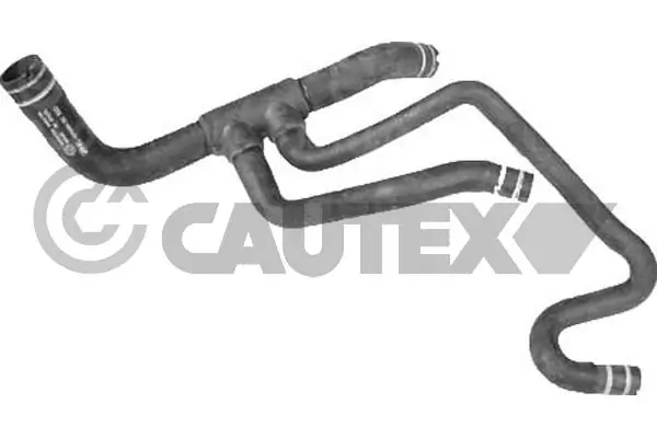 016756 Cautex
