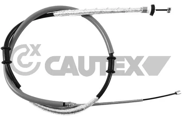 019037 Cautex