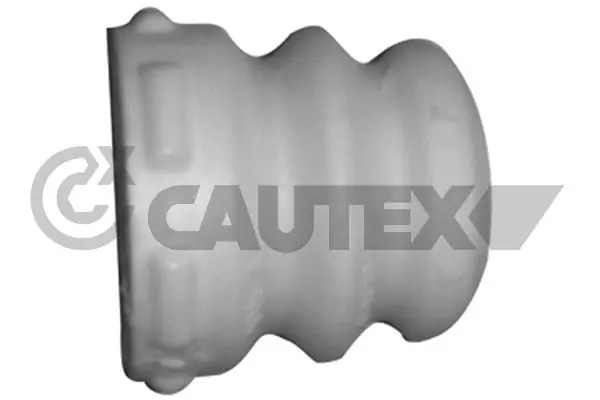 462441 Cautex