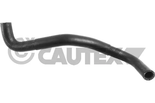 036364 Cautex