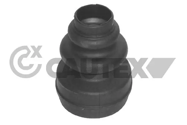 030107 Cautex