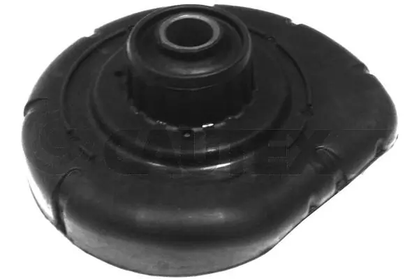 250066 Cautex
