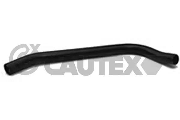 466096 Cautex