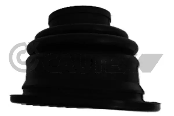 480628 Cautex