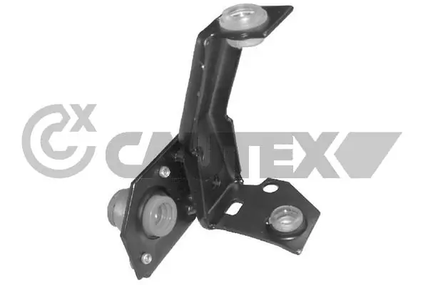 462544 Cautex