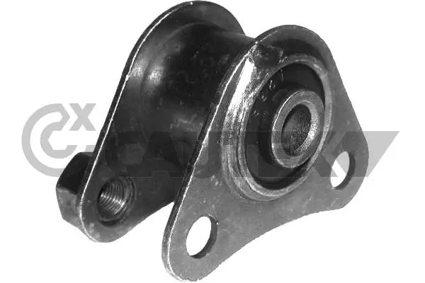 010907 Cautex