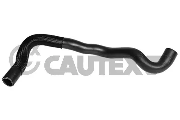 753407 Cautex