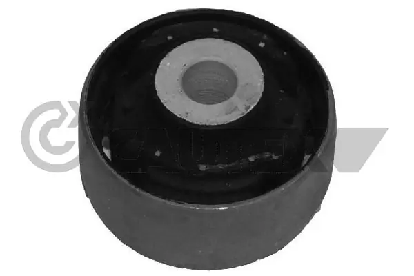 480882 Cautex