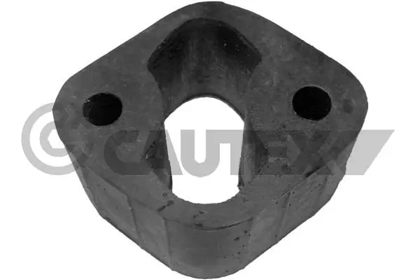 031037 Cautex