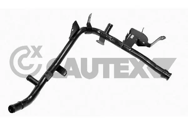 955309 Cautex