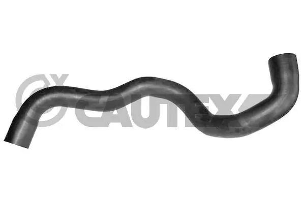754134 Cautex