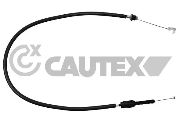 026597 Cautex