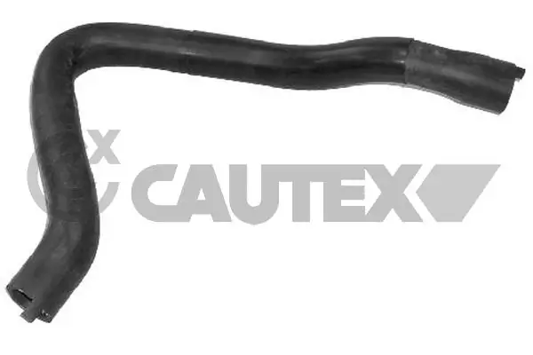 036365 Cautex