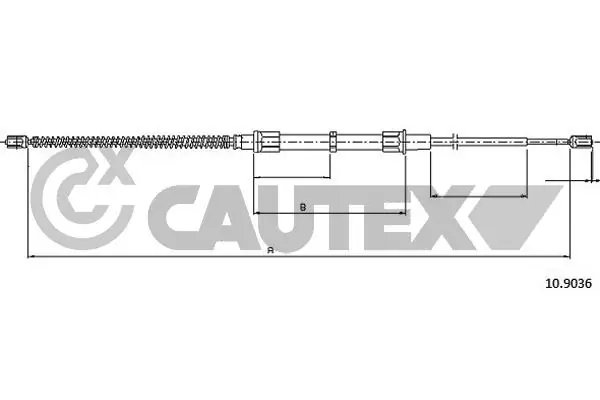 468245 Cautex