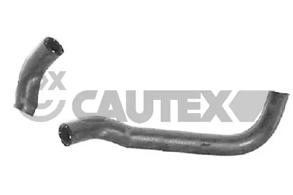 081062 Cautex