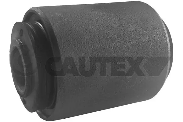 020326 Cautex
