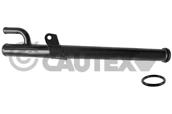 Comprar  19 I B53, C53