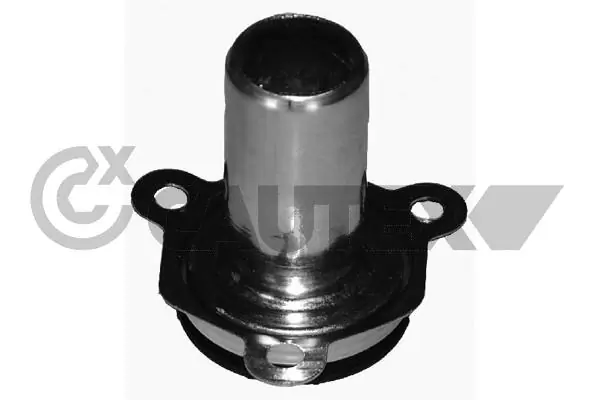 031464 Cautex