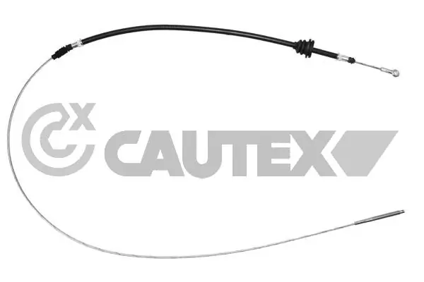 105296 Cautex