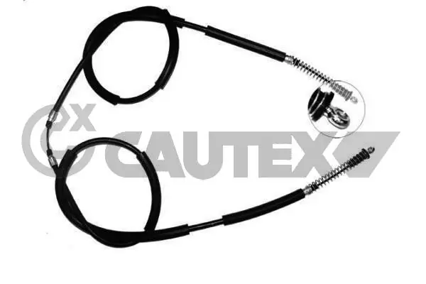 018967 Cautex