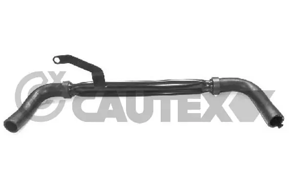 031097 Cautex