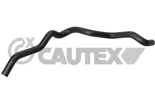 031325 Cautex