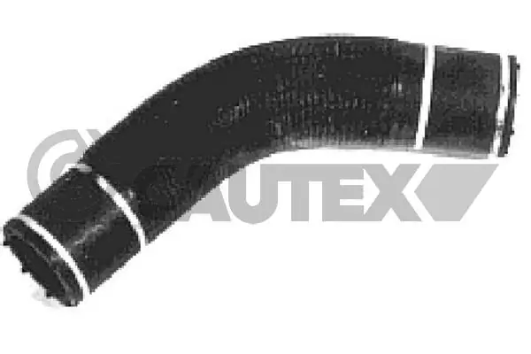 036012 Cautex