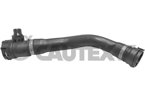 754306 Cautex