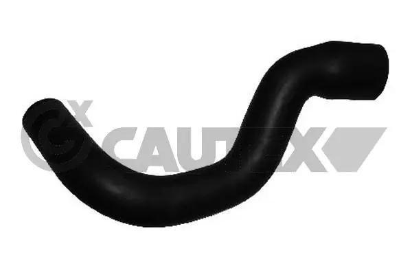 461102 Cautex