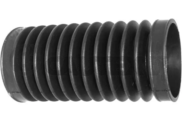 462610 Cautex