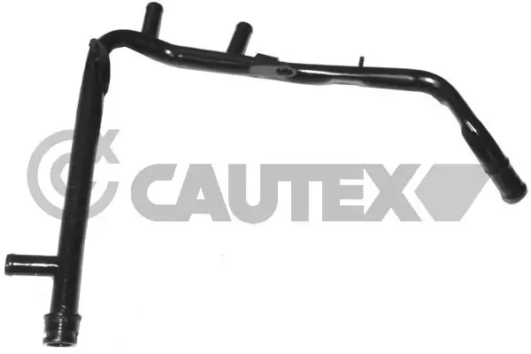 955316 Cautex