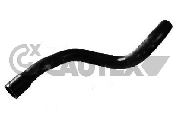 486509 Cautex