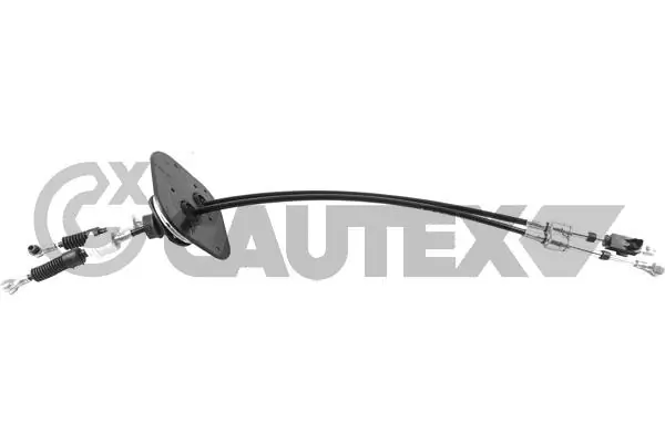 763431 Cautex