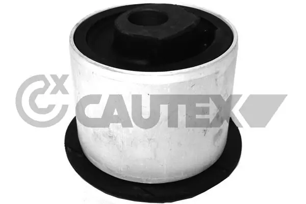 462618 Cautex
