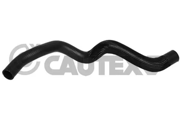 026851 Cautex