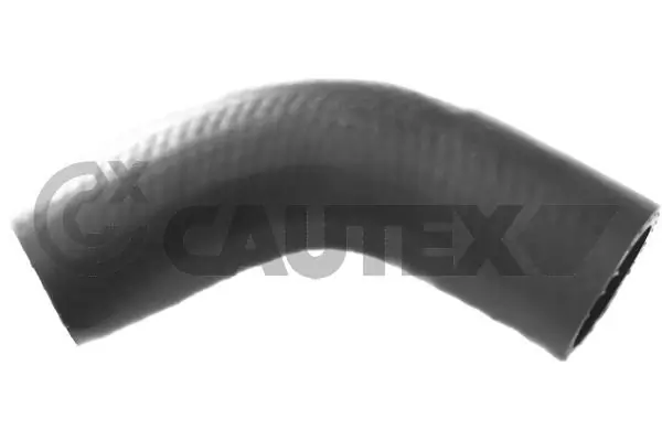 760308 Cautex