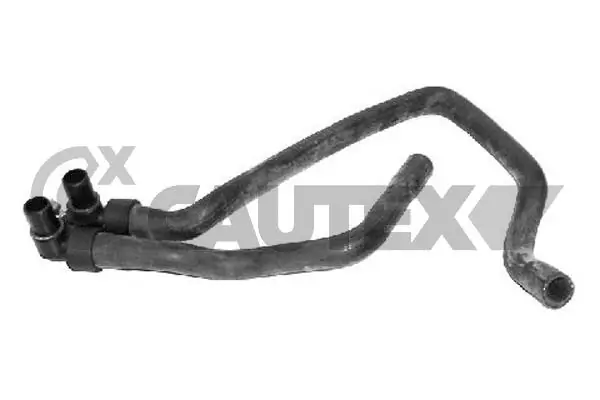 036374 Cautex