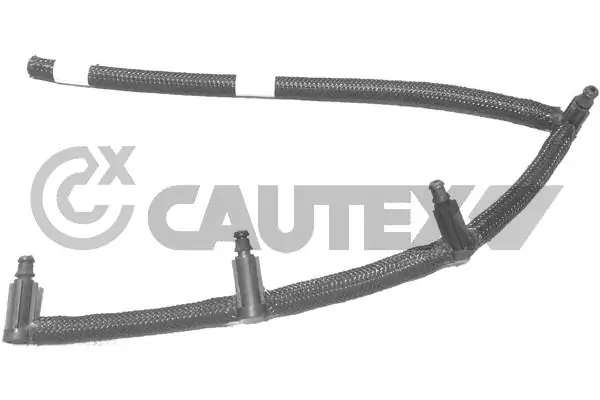 031704 Cautex
