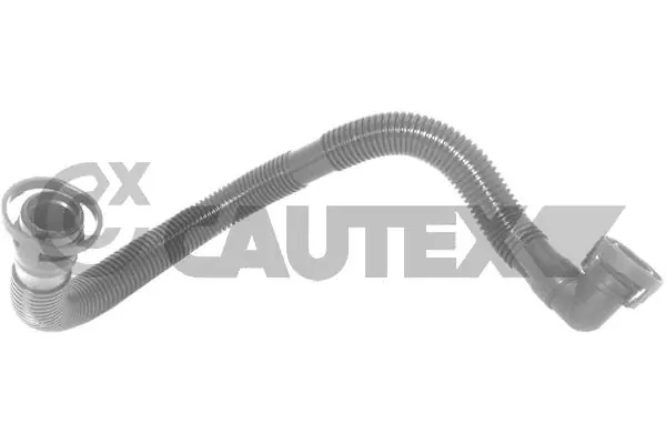 757521 Cautex