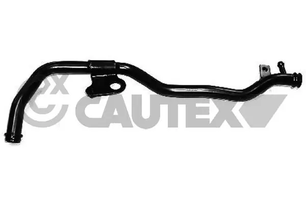 955344 Cautex