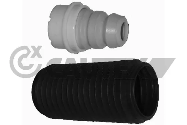 011160 Cautex