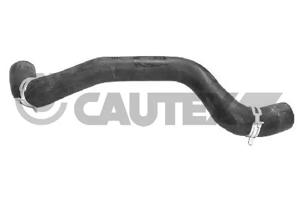 086398 Cautex