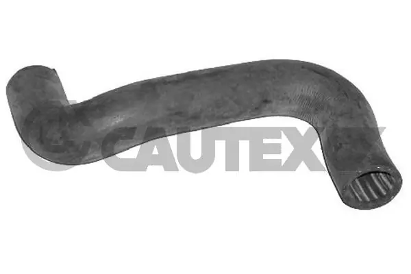 036360 Cautex