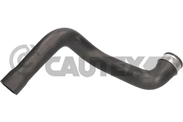 486545 Cautex