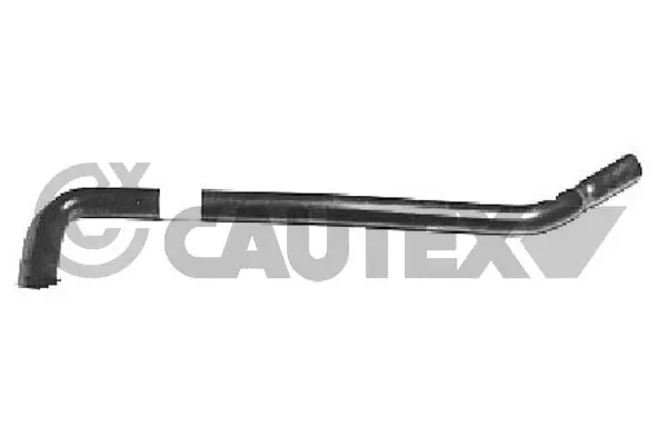 026407 Cautex